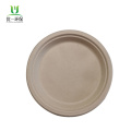 Biodegradable sugarcane packaging plates party tableware